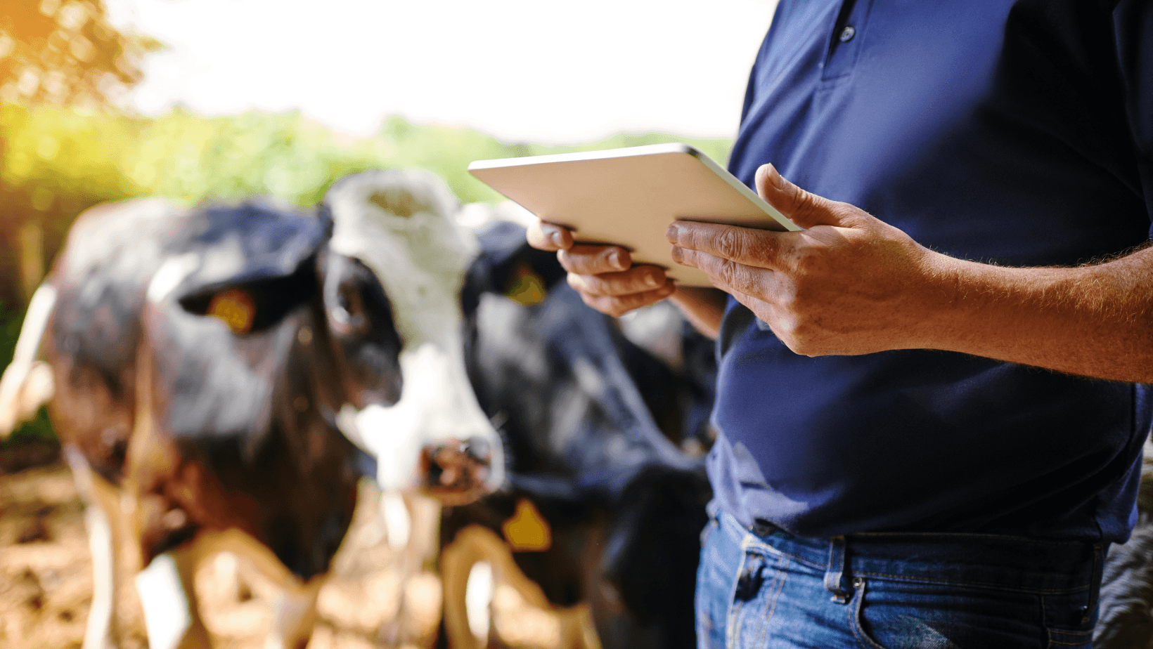 Agricultura E Pecuária: Qual a Relação?
