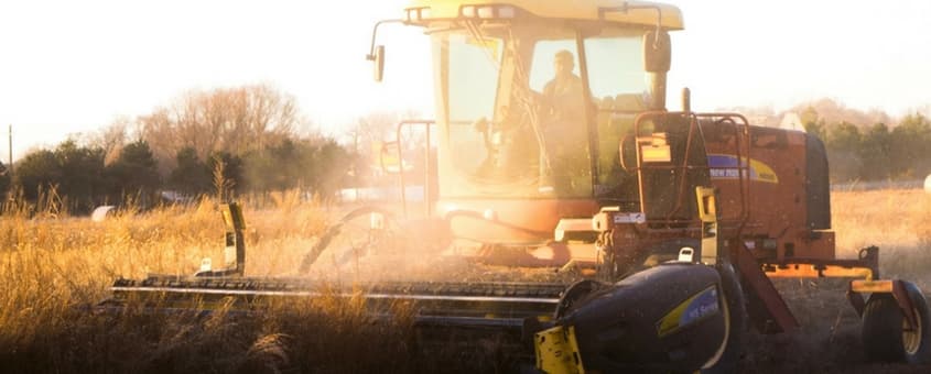 O Que é Agronegócio e Porque é Tão Importante?